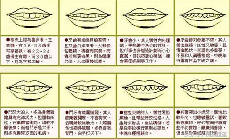 牙齒相學|2024年你的牙齒面相代表什麼？倒及牙、哨牙⋯ 